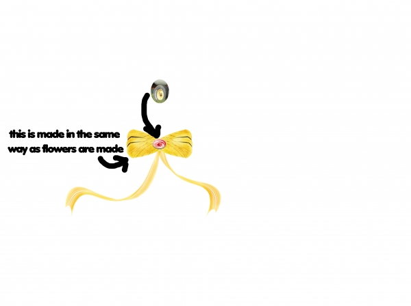 Creation of meow...: Step 5